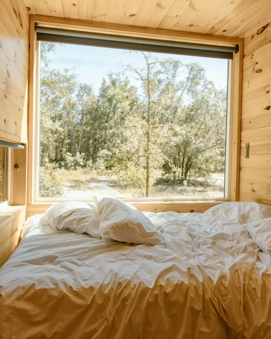 Cama desarrumada de frente para uma janela grande com árvores baixas e secas lá fora