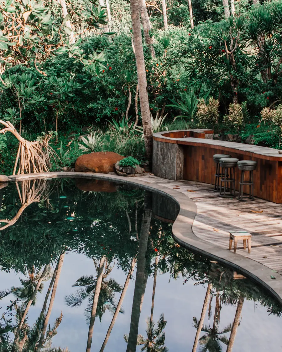 Piscina de água escura cercada de plantas, com deck de madeira e coqueiros refletidos